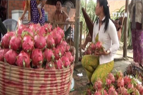 2016年前11月越南水果蔬菜出口额达近22亿美元
