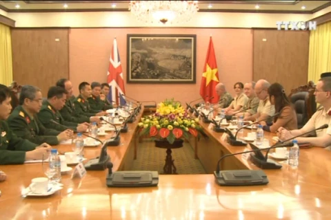 英国皇家军医部队代表团对越南进行访问