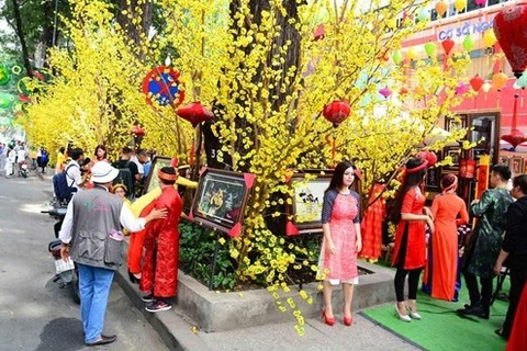 早上，梅花、桃花街吸引了很多人前来参观（图片来源：越南《人民军队报》）