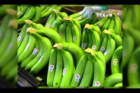 越南香蕉在世界各国市场上畅销
