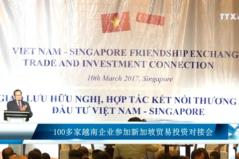 100多家越南企业参加新加坡贸易投资对接会