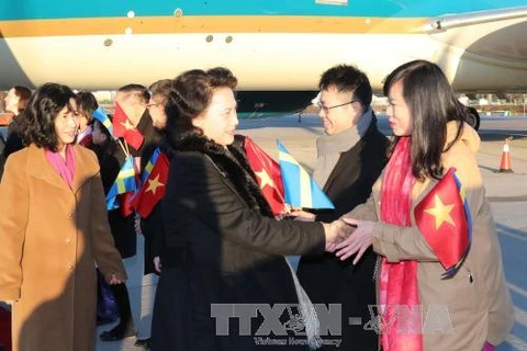 瑞典议会和外交部领导代表同越南驻瑞典特命全权大使段氏芳容等到机场迎接。（图片来源：越通社）