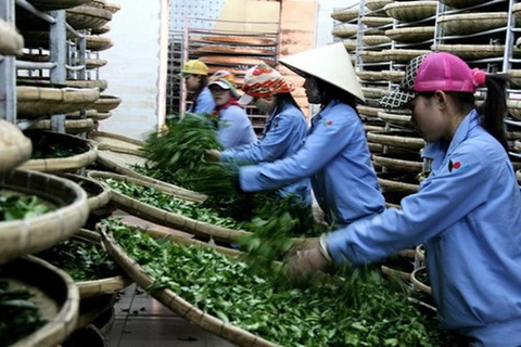 越南茶叶品牌塑造 在摸索中前行
