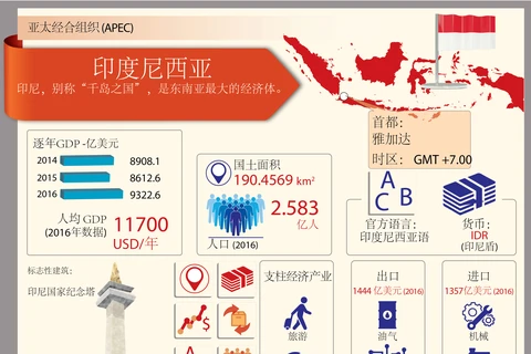 印尼是东南亚最大的经济体。