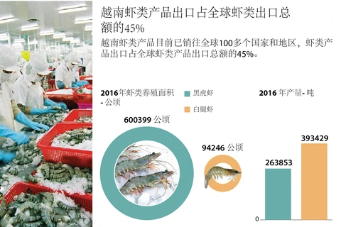 越南虾类产品出口占全球虾类出口总额的45%