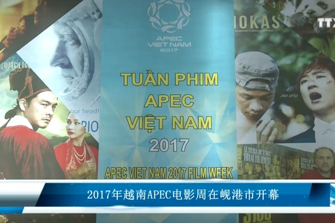 2017年越南APEC电影周在岘港市开幕