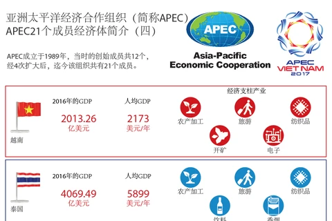 图表新闻：APEC21个成员经济体简介（四）