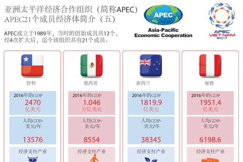 图表新闻：APEC21个成员经济体简介（五）
