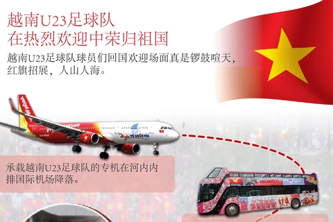 图表新闻：越南U23足球队在热烈欢迎中荣归祖国