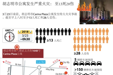 图表新闻：胡志明市公寓发生严重火灾： 至13死28伤