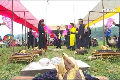 高平省二姑娘文化节被列入国家级非物质文化遗产名录