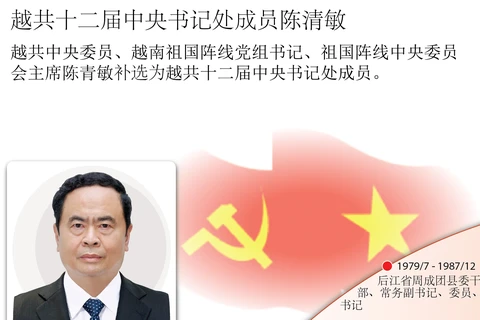 图表新闻：越共十二届中央书记处成员陈清敏简历