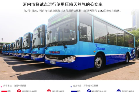图表新闻：河内市将试点运行使用压缩天然气的公交车