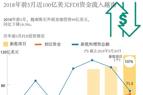 图表新闻：2018年前5月近100亿美元FDI资金流入越南