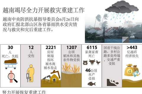 图表新闻：越南竭尽全力开展救灾重建工作