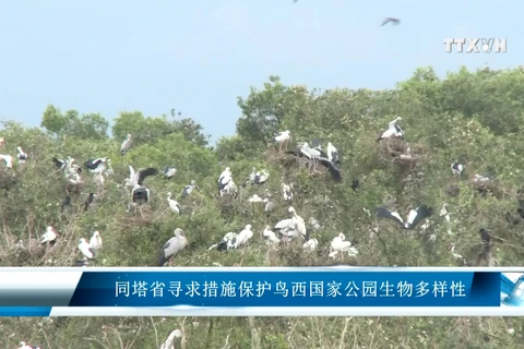 同塔省寻求措施保护鸟西国家公园生物多样性