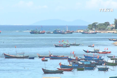 加大宣传力度努力保护越南海洋岛屿主权 