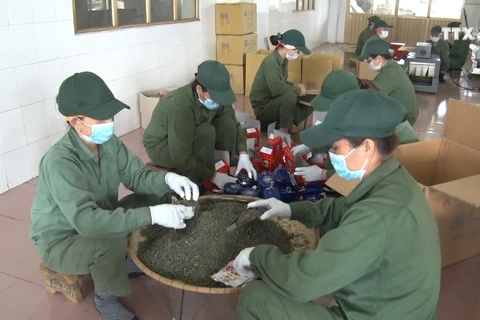 越南成为世界五大茶叶出口国