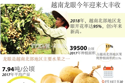 图表新闻：越南龙眼今年迎来大丰收