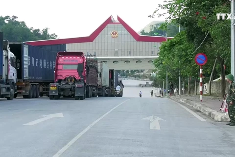 越南出台越中边境贸易支付外汇管理新规定