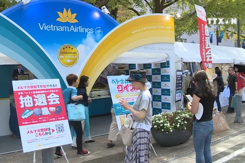 神奈川越南节将越南文化推广到日本