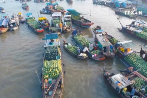 越南荣获“2018年亚洲最佳旅游目的地”奖