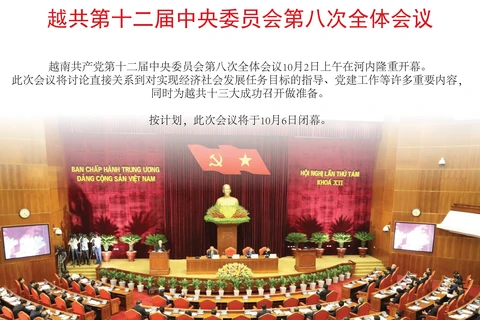 图表新闻：越共第十二届中央委员会第八次全体会议