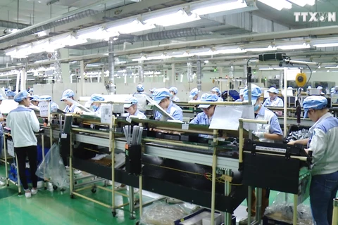 越南开展重点招商 提高招商引资工作效率