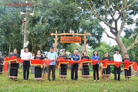 嘉莱省嘉莱族和巴纳族民间木雕像展示空间正式开放