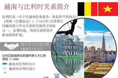 图表新闻：越南与比利时关系简介 