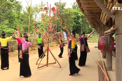 努力保护泰族群舞的长久活力
