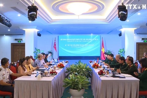 第10届越南-新加坡防务政策对话在胡志明市开幕
