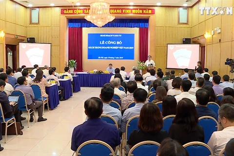 2019年越南企业白皮书首次发布