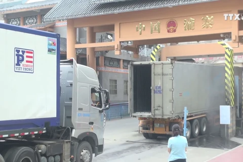谅山省努力解决新青口岸货物拥堵现象