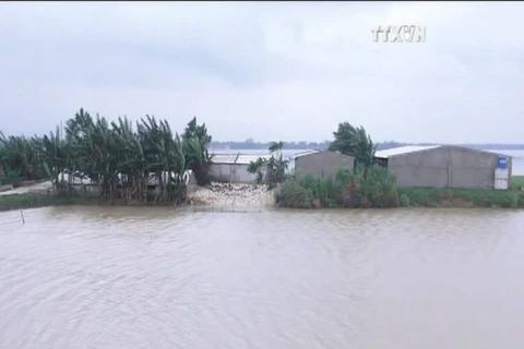 越南多地继续遭暴雨洪水袭击