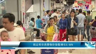 胡志明市消费物价指数增长0.66%