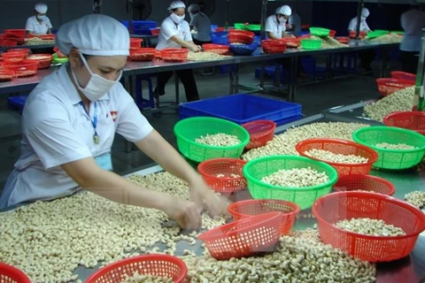 EVFTA为越南农产品进军欧盟市场敞开大门