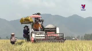 农业一直是推动越南经济发展的重要支撑