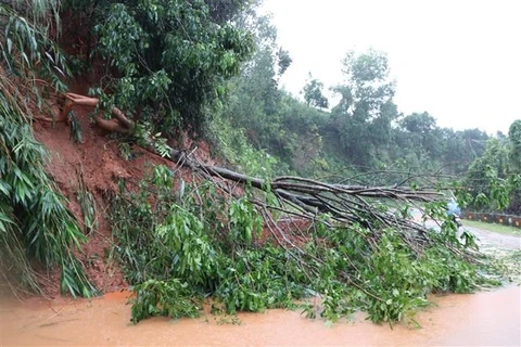 组图：第九号台风袭击 对越南南中部地区各省造成巨大损失