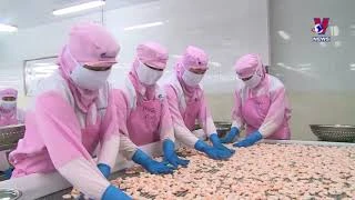 越南虾类产业迎来众多发展动力 