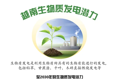 图表新闻：越南生物质发电潜力