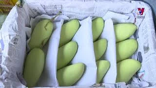 越南力创良机让水果出口美国市场