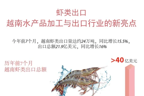 图表新闻：虾类出口——越南水产品加工与出口行业的新亮点
