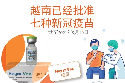 图表新闻：越南已经批准七种新冠疫苗