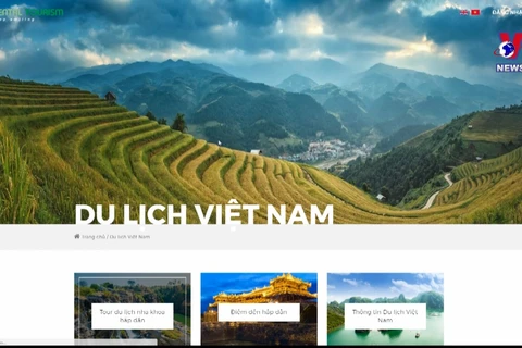 越南医疗旅游发展前景广阔