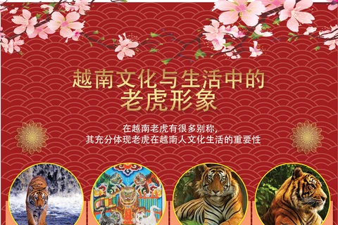图表新闻：越南文化与生活中的老虎形象