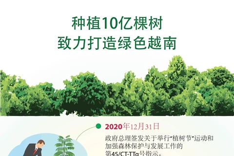 图表新闻：种植10亿棵树 致力打造绿色越南