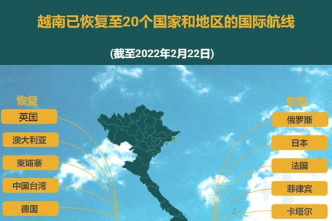 互动图表：越南已恢复至20个国家和地区的国际航线