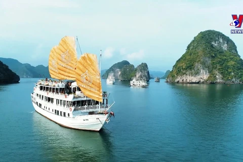越南旅游全面开放 确保游客的健康安全放在首位