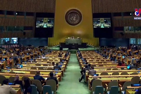 越南当选第77届联合国大会副主席